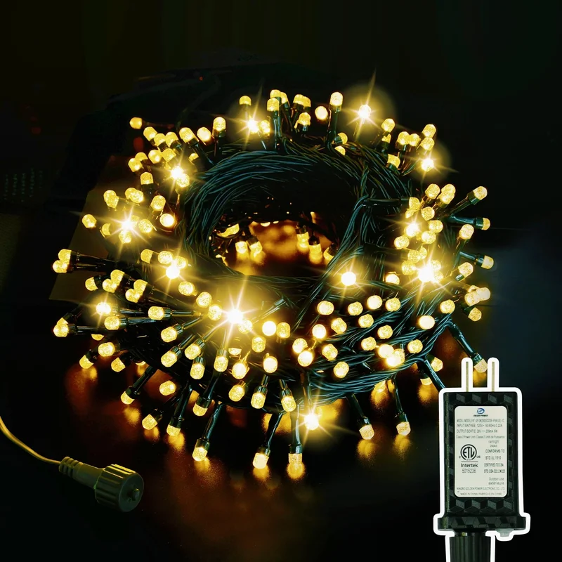 lightsdaddy731881