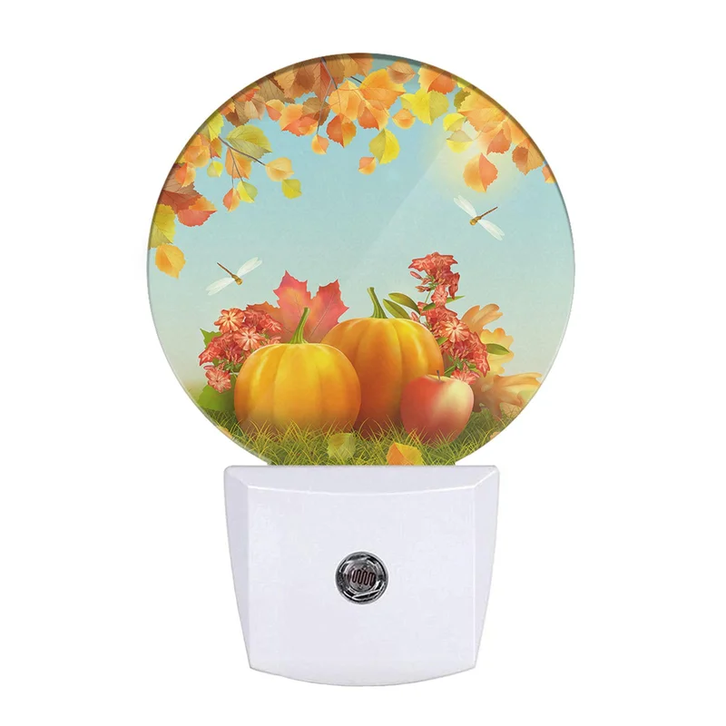 lightsdaddy755040