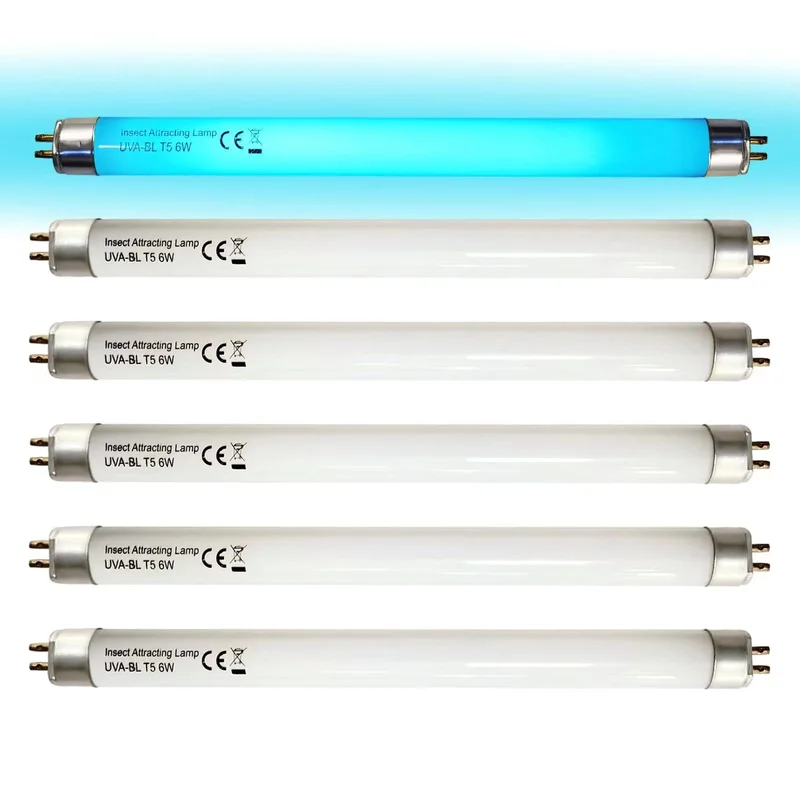 lightsdaddy764839