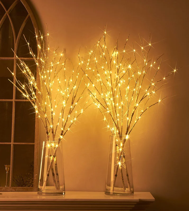 lightsdaddy770562