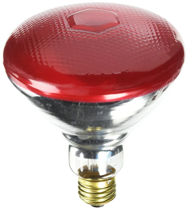 lightsdaddy774241