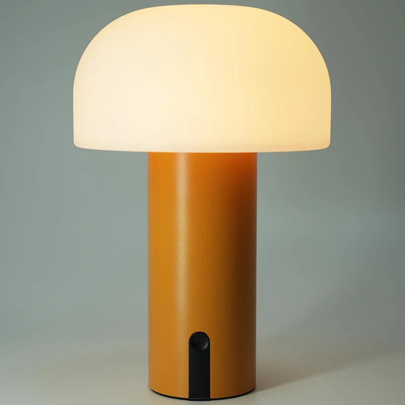 lightsdaddy781507