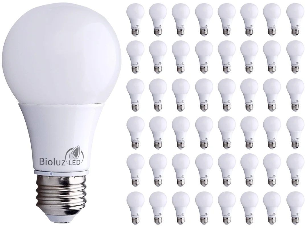 lightsdaddy783019