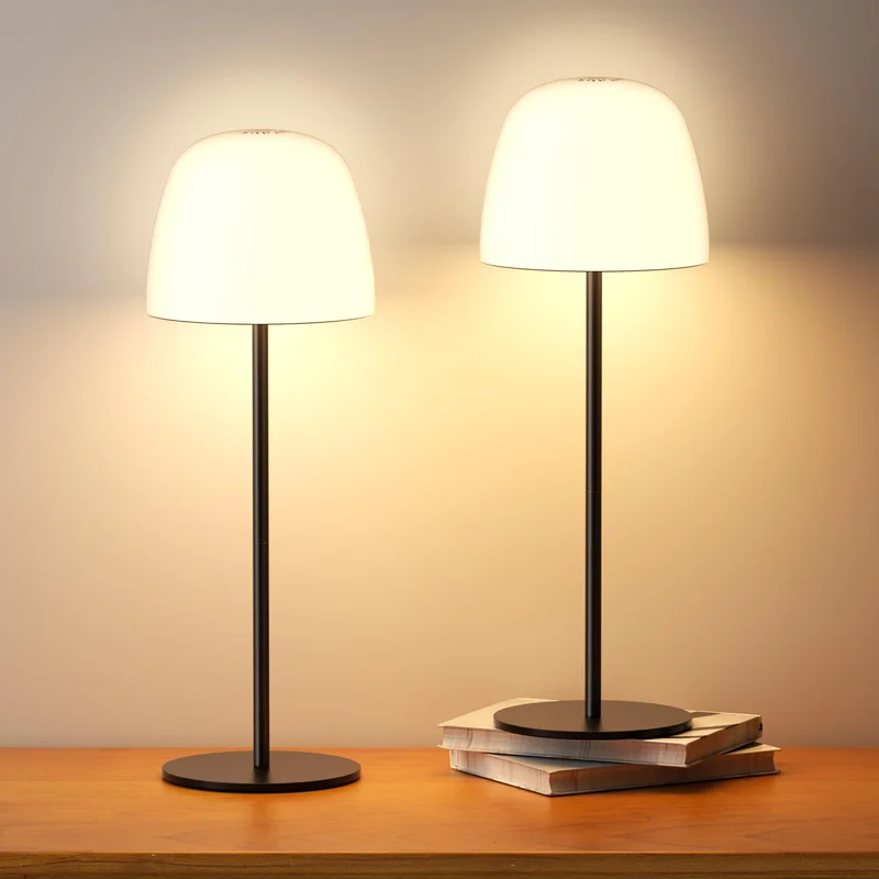 lightsdaddy784265