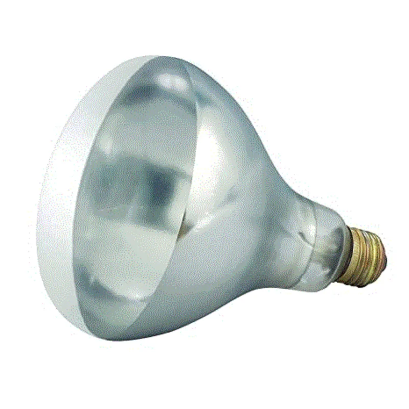 lightsdaddy78659