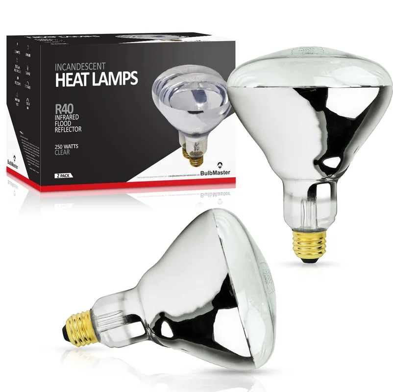 lightsdaddy788480