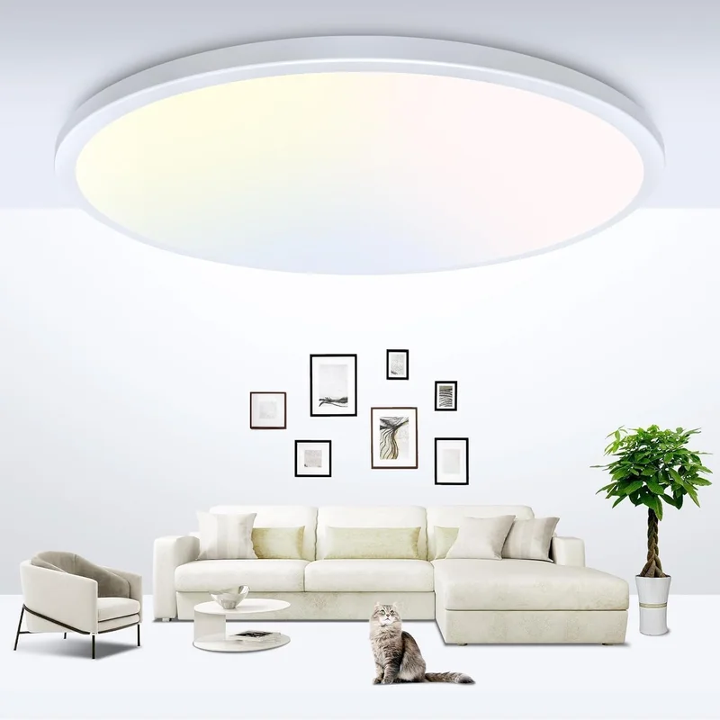 lightsdaddy788611