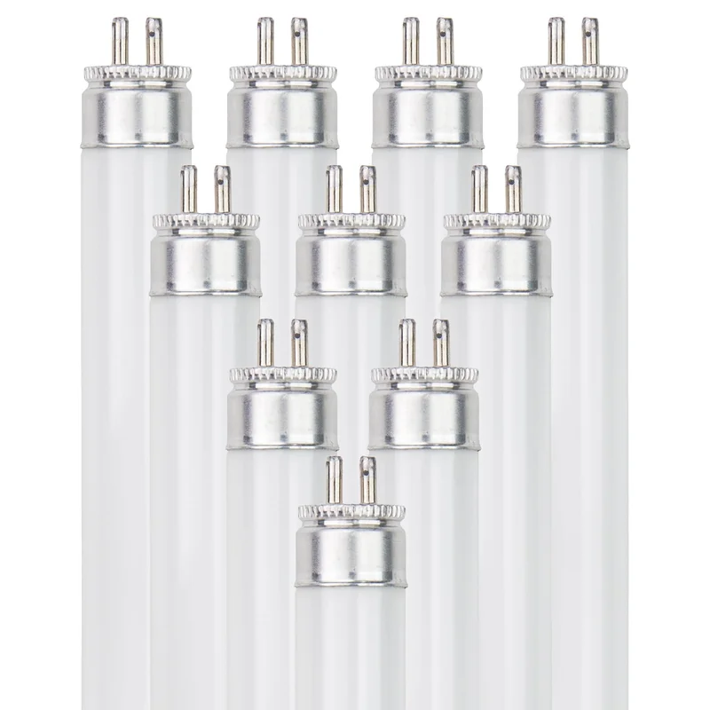 lightsdaddy793666