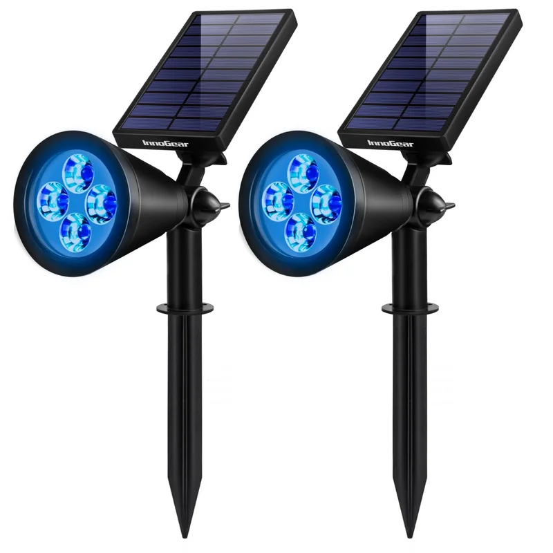 lightsdaddy799132