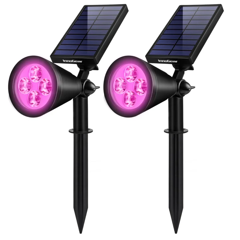 lightsdaddy799138