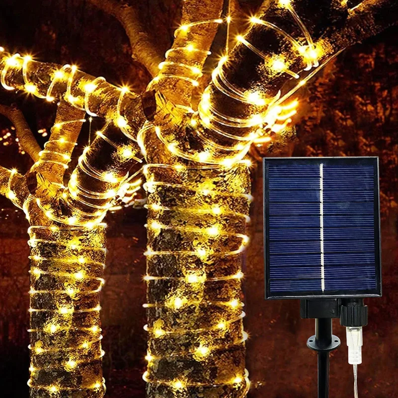 lightsdaddy801066