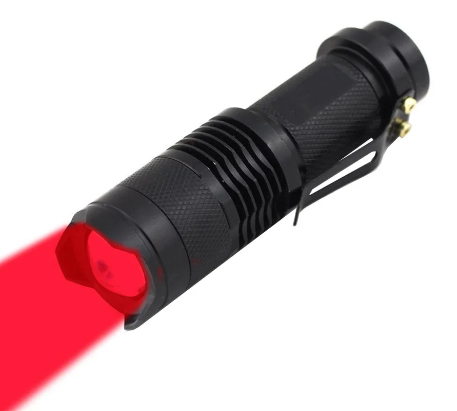 lightsdaddy801410