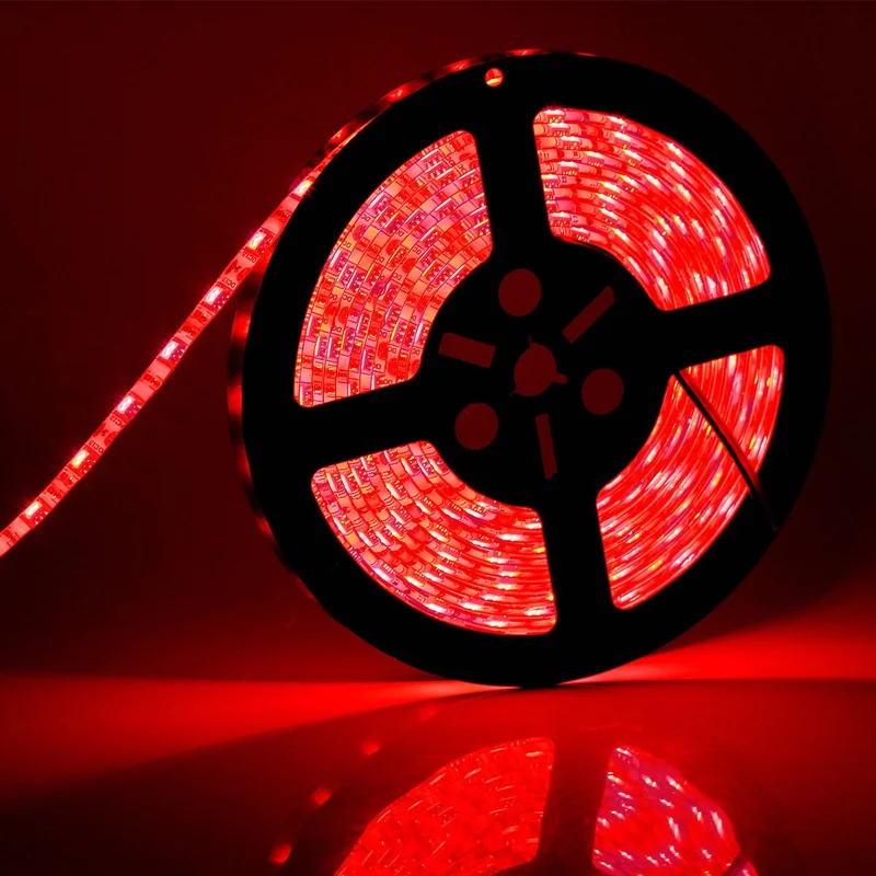 lightsdaddy803941