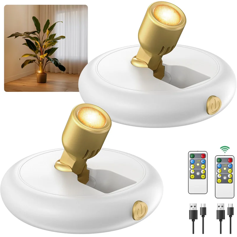 lightsdaddy804324