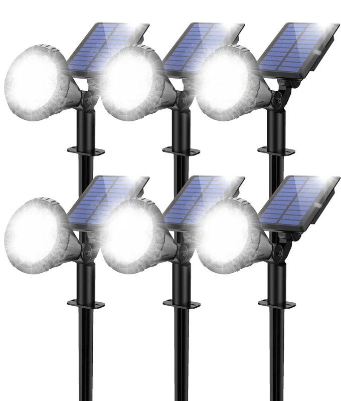 lightsdaddy805186