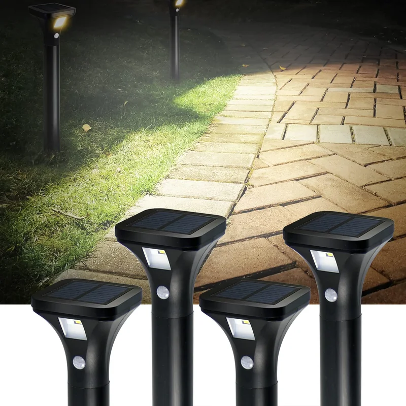 lightsdaddy806406
