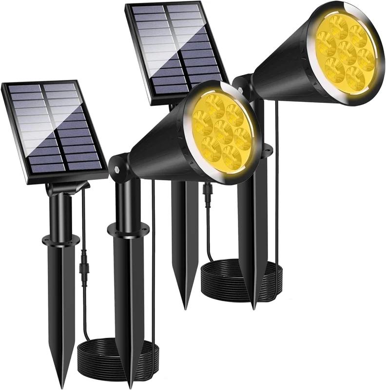 lightsdaddy807848