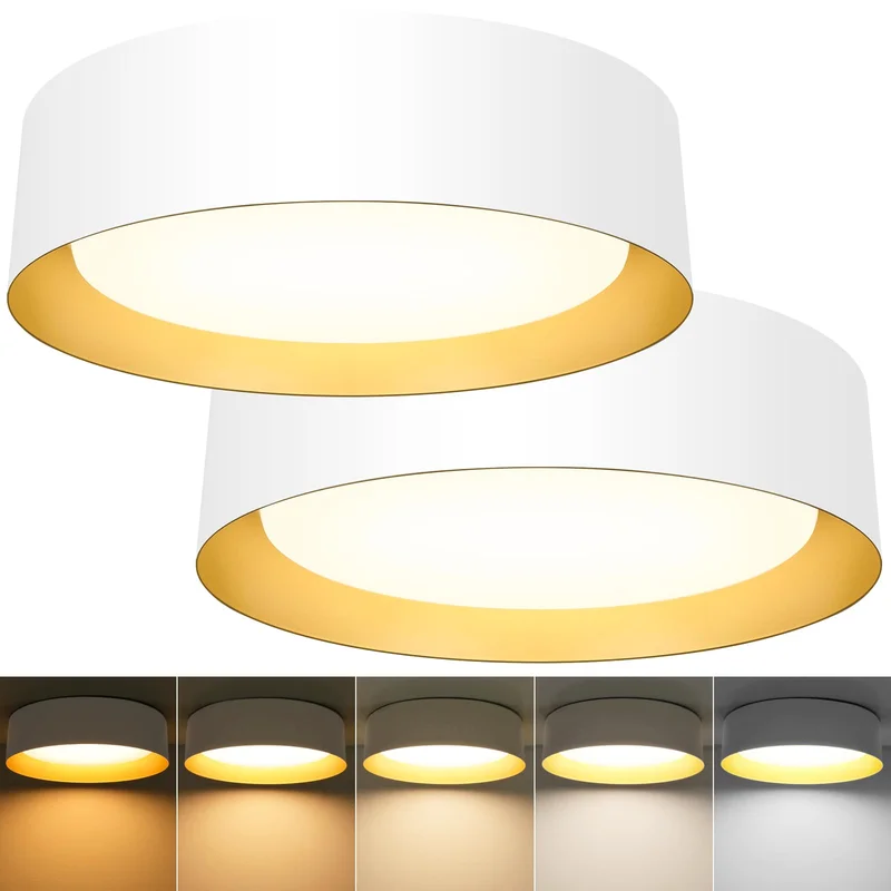 lightsdaddy808538