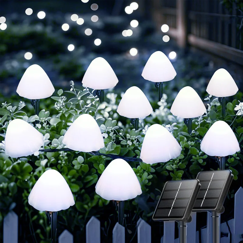 lightsdaddy808685