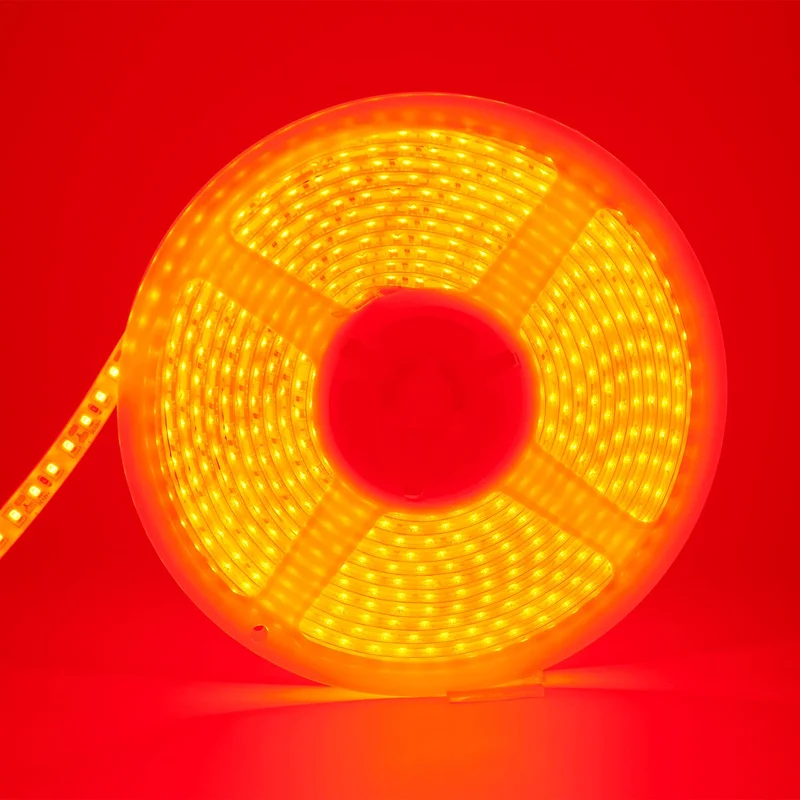 lightsdaddy809288