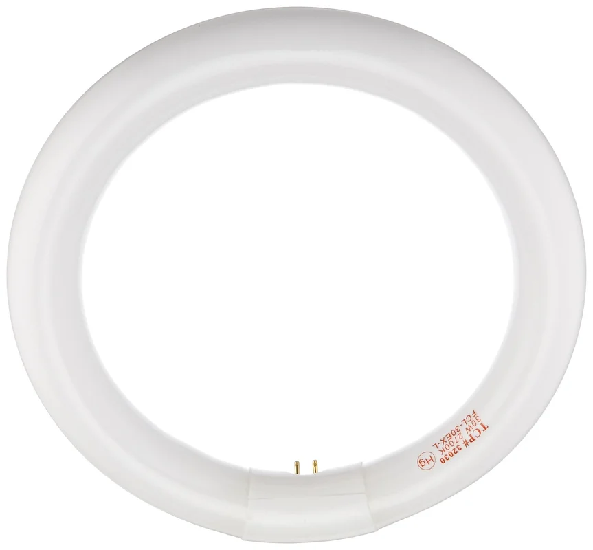 lightsdaddy810060