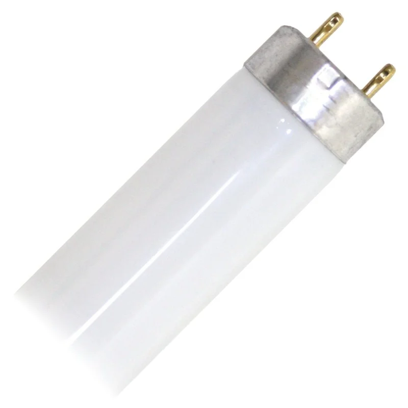 lightsdaddy810110