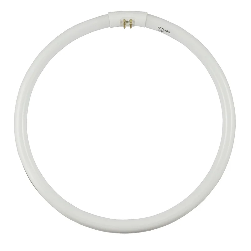 lightsdaddy810176