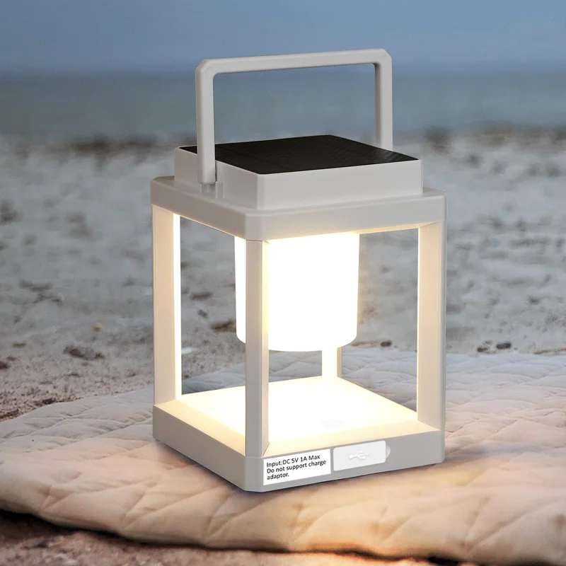 lightsdaddy810422