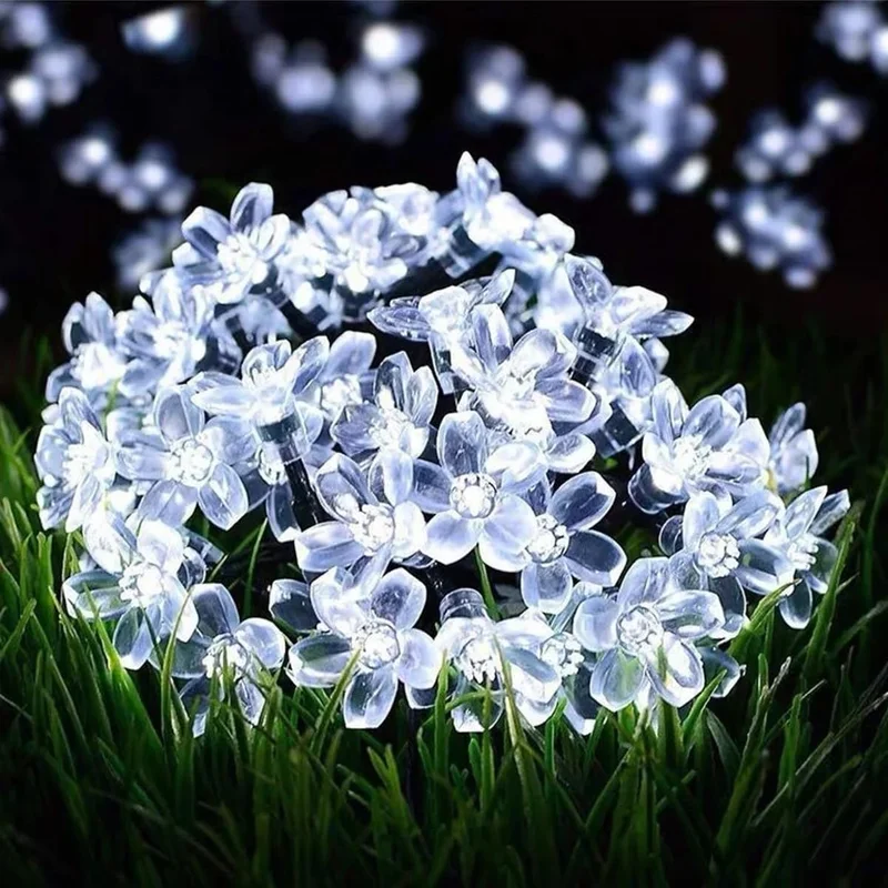 lightsdaddy810704