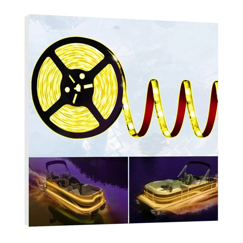 lightsdaddy810921