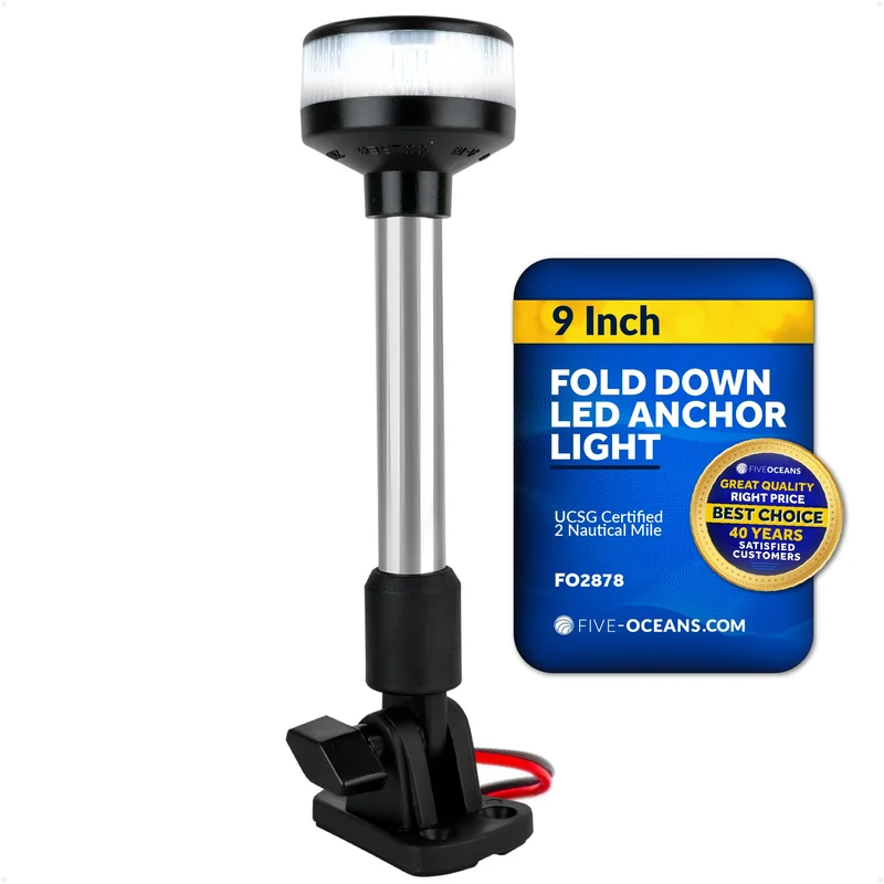 lightsdaddy811597