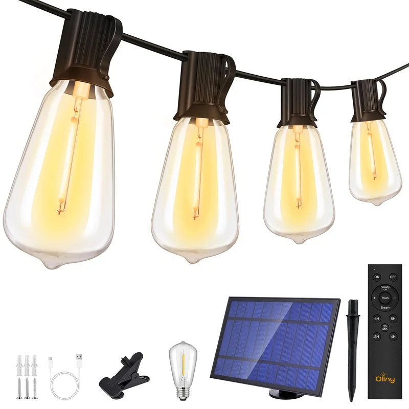 lightsdaddy812480