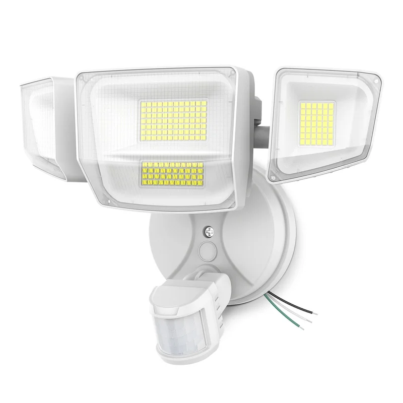 lightsdaddy813159
