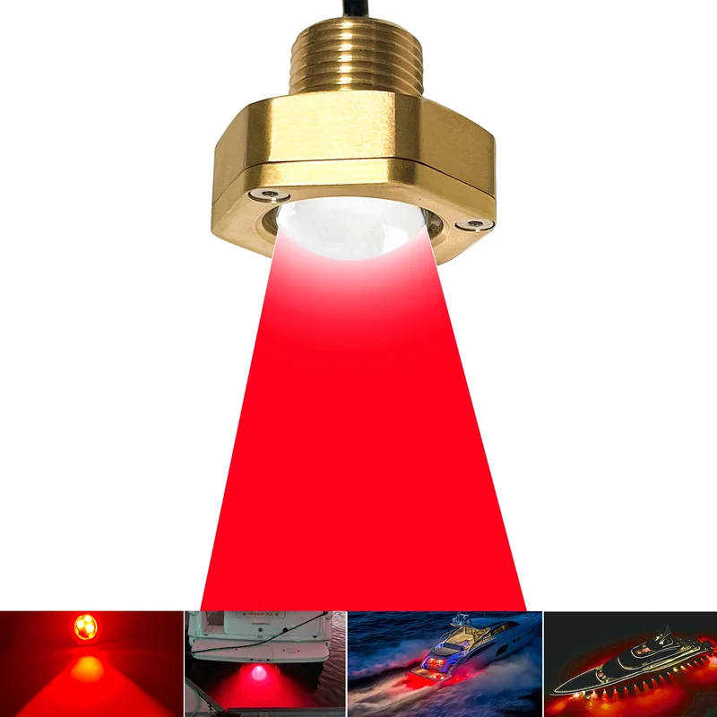 lightsdaddy816114