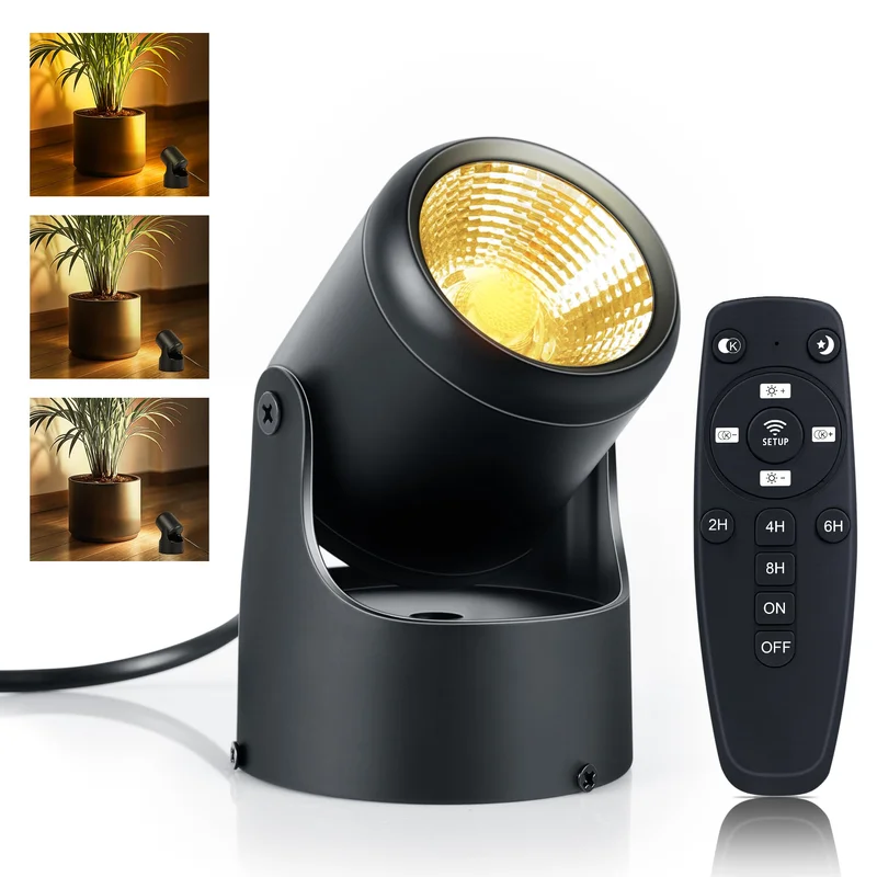 lightsdaddy818146
