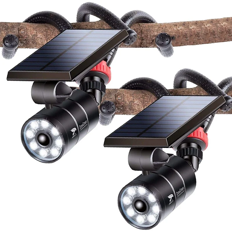 lightsdaddy820138