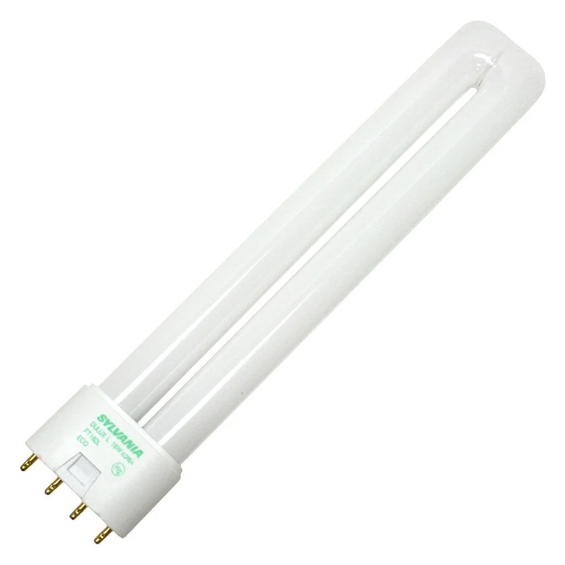 lightsdaddy825802