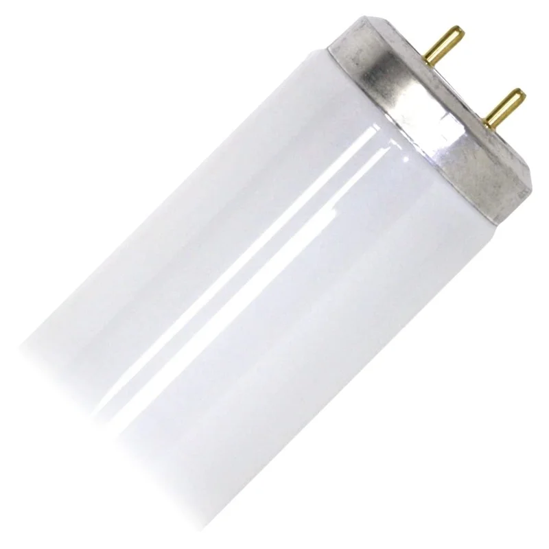 lightsdaddy825947