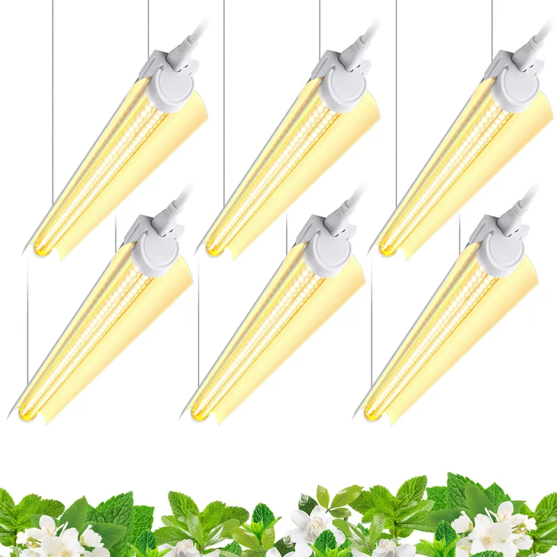 lightsdaddy826845