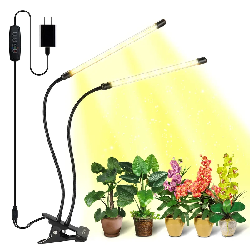 lightsdaddy826908