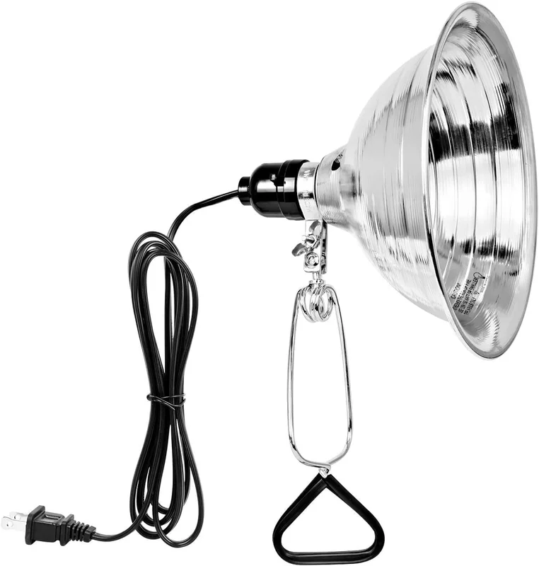 lightsdaddy827756