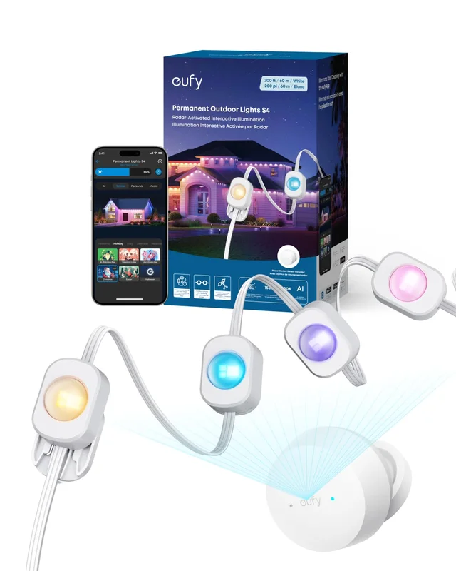 lightsdaddy829406