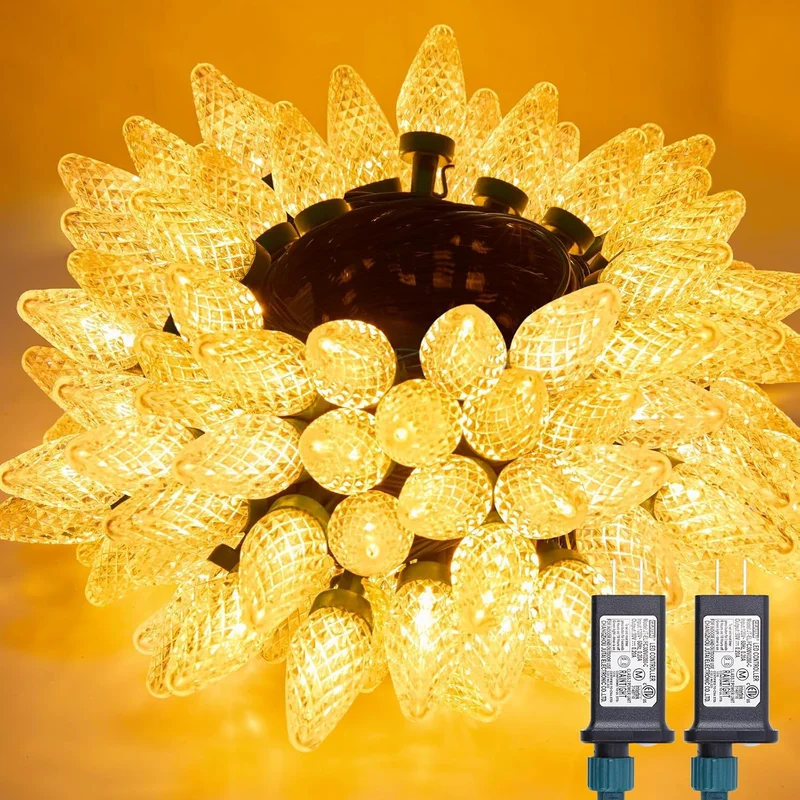 lightsdaddy829420