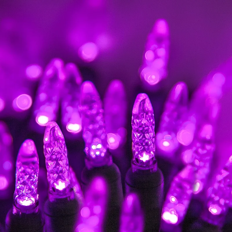 lightsdaddy831024