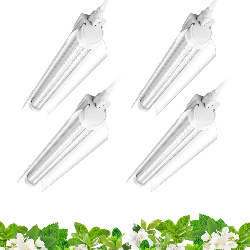 lightsdaddy836314