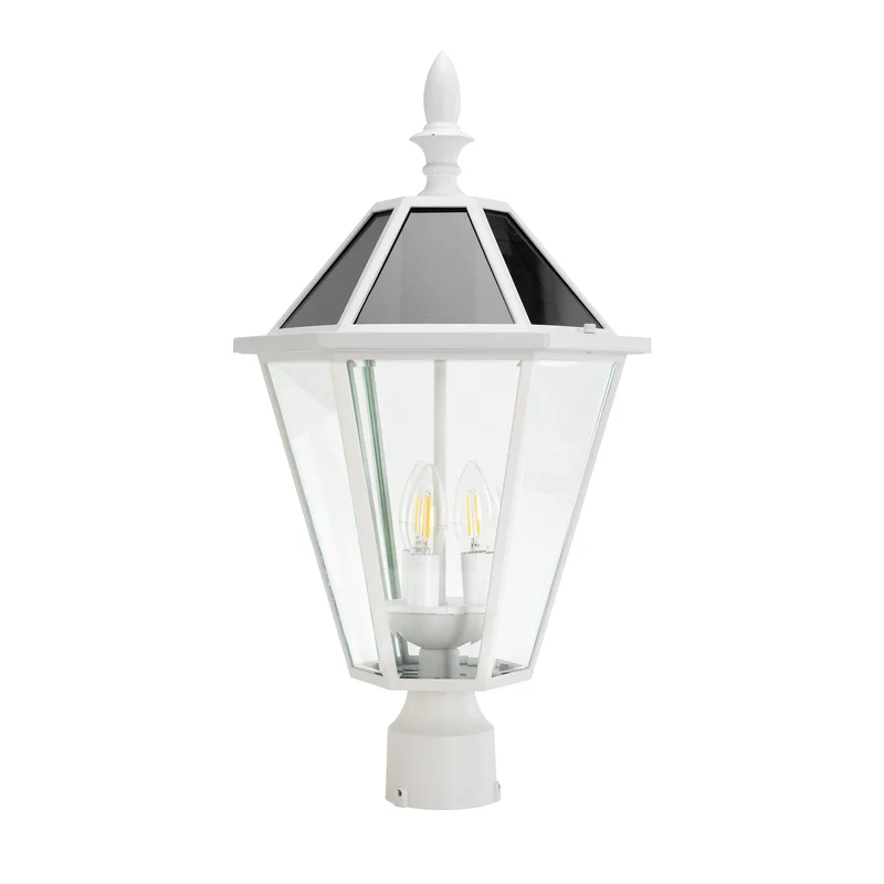 lightsdaddy836837