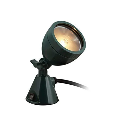 lightsdaddy839047