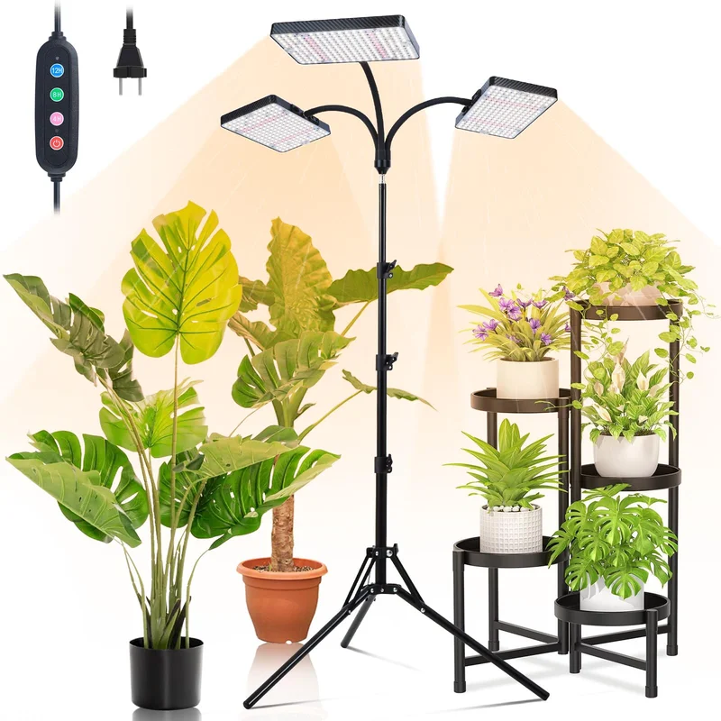 lightsdaddy840904
