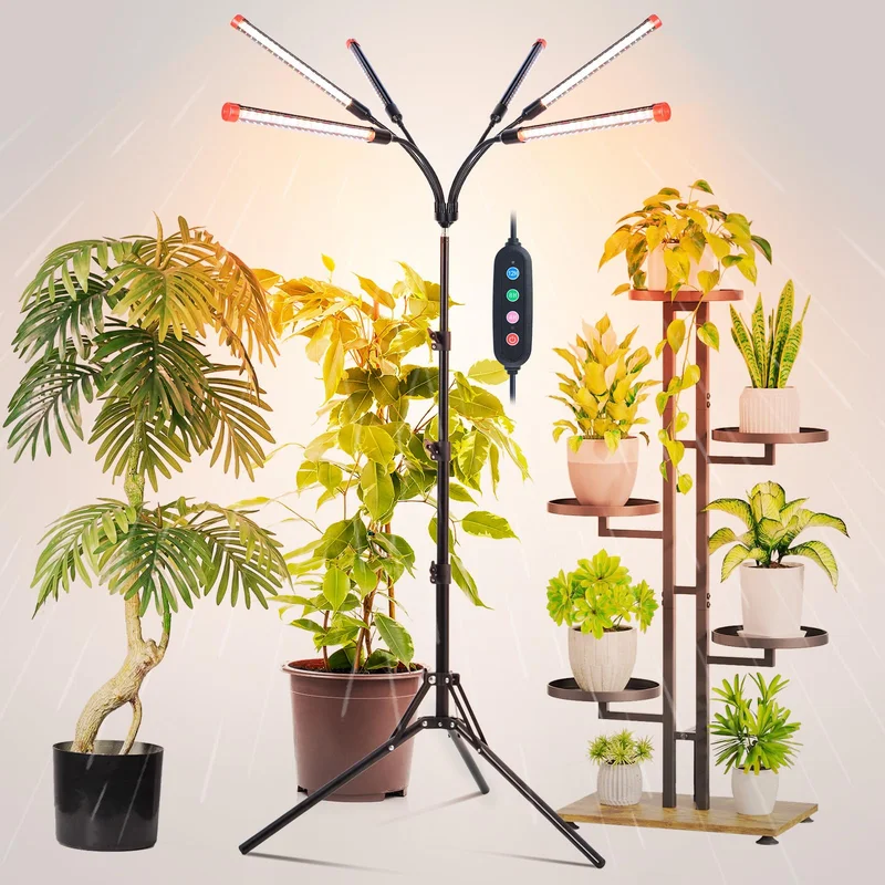 lightsdaddy840961