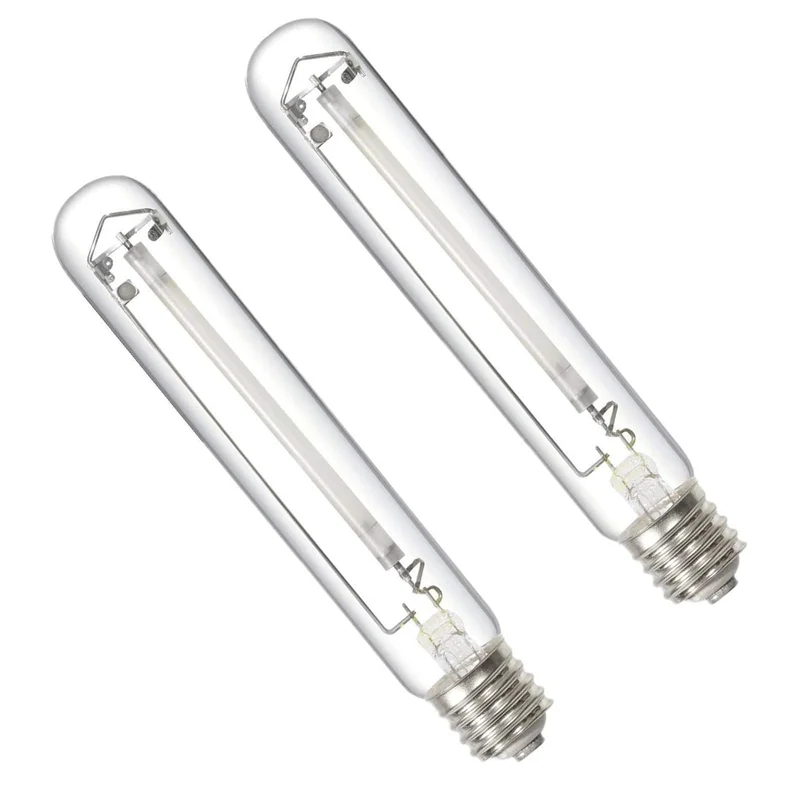 lightsdaddy841081